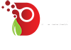 وب سایت ایران دارونت